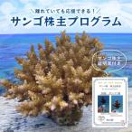文房具 玩具 離れていても応援できるのサンゴ株主