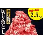 牛肉 交雑牛切り落とし どど~んと2.5kg