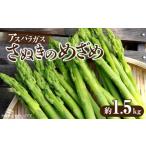 fu.... налог овощи вид спаржа Kagawa префектура три . город спаржа [.... ...] примерно 1.5kg( лето .)