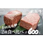 ふるさと納税 アウトドアグッズ 岐阜県 白川村 訳あり 飛騨牛ブロック 塊 霜降り肉 赤身肉 300g×2 合計600g 食べ比べ 部位お任せ 不揃い 食べ比べ ブロック肉…