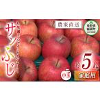 ふるさと納税 りんご 長野県 飯綱町 りんご サンふじ 家庭用 ( 小玉 ) 5kg 原山農園 沖縄県への配送不可 2026年1月上旬頃から2026年3月上旬頃まで順次発送予定…