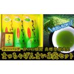 お茶類 まっちゃげんまいティーバッグ3袋セット