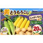 とうもろこし すぐに出荷 出荷期間延長 令和8年産