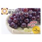 ぶどう 青森ぶどう スチューベン 約2kg