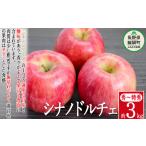ふるさと納税 りんご 長野県 飯綱町 りんご シナノドルチェ 秀 〜 特秀 3kg 菅谷さんのりんご 沖縄県への配送不可 2025年9月下旬頃から2025年10月上旬頃まで順…