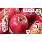 ふるさと納税 りんご 長野県 飯綱町 りんご サンふじ 家庭用 ( 小玉 ) 5kg 渡辺農園 沖縄県への配送不可 2025年12月中旬頃から2026年1月中旬頃まで順次発送予…