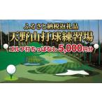 ゴルフ場利用券 天野山打球練習場 打球練習券