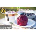 菓子 アイス 冷凍 別送 即時交換 鹿角市　ふるさと納税 菓子 アイス 秋田県 鹿角市 発芽玄米淡雪こまち甘酒アイス「ブルーベリー」6個入 としま農園 新鮮 旬 県産ブルーベリー 国産ブルーベリー お中元…