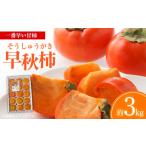 果物類 柿 早秋柿 そうしゅうがき 約3kg