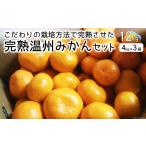 ふるさと納税 果物類 みかん 長崎県 雲仙市 期間限定発送 みかん 完熟温州みかんセット 12kg(4kg×3箱) 森崎果樹園 長崎県 雲仙市 item2271 みかん 温州 果…