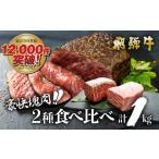 ショッピング肉 ふるさと納税 岐阜県 白川村 飛騨牛 ブロック肉 [塊]  1kg (霜降り肉 赤身肉 500g×2 )  食べ比べ 訳あり 部位お任せ 不揃い ローストビーフ  牛肉 ブロック …