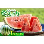 fu.... налог арбуз Okinawa префектура страна голова .2026 год 2 месяц ~3 месяц примерно. отправка остров пакет san. зима арбуз 1 шар (3.5~4.5kg) 1577664