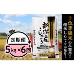 米 コシヒカリ 5kg