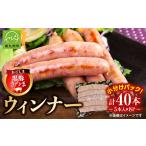 肉 ソーセージ かごしま黒豚さつま ウィンナー1.2kg