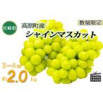 ふるさと納税 ぶどう マスカット 宮崎県 高原町 数量限定・先行受付 久保ぶどう園のシャインマスカット(約2kg) 果汁たっぷりの美味しい種なし葡萄 大粒 果物 …