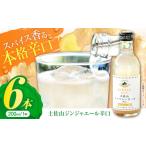 果汁飲料 土佐山ジンジャエール辛口M 200ml