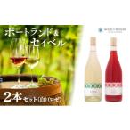ワイン 白ワインの風土を生かした宝水ワイナリーワイン2本…