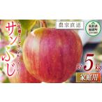 ふるさと納税 りんご 長野県 飯綱町 りんご サンふじ 家庭用 5kg 松橋りんご園 沖縄県への配送不可 2025年12月上旬頃から2026年3月上旬頃まで順次発送予定 令…