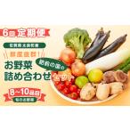 セット 詰合せ 6回定期便 鮮度抜群 肥前の国のお野菜詰め合…