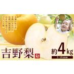 ふるさと納税 梨 熊本県 氷川町 熊本県氷川町産 吉野梨 品種おまかせ 約4kg (2〜16玉前後) 《8月上旬-9月末頃出荷予定》 約4kg (寄附額:10,500円)