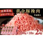 ふるさと納税 豚肉 ハンバーグ 北海道 伊達市 北海道 豚ひき肉 普通挽き 200g 10パック 計2kg 普通挽き(2kg)