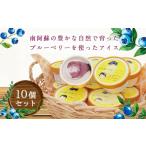 ゆかりのファームのブルーベリーを使ったアイス 10個