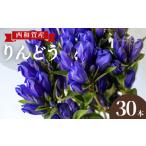 花 苗木 花束 入荷 受付9月まで 高原ふれあい産直