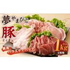 豚肉 ヒレ 夢やまびこ豚 厳選バラエティパック 1.0kg