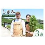 花 苗木 しきみ 黒田樒園 452060139