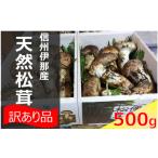 野菜類 きのこ 松茸 信州 伊那の500g