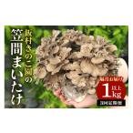 野菜類 きのこ 隔月 3回定期便 飯村きのこ園の笠間まいたけ…