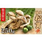 野菜類 きのこ 天然松茸 250g