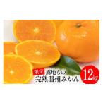 ふるさと納税 みかん・柑橘類 長崎県 島原市 CD002 限定 森崎果樹園の露地もの完熟温州みかん(12kg) みかん ミカン オレンジ 果物 くだもの フルーツ 露地も…