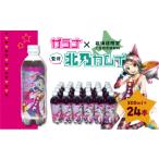 炭酸飲料 ガラナ 500ml×24本