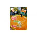 みかん 柑橘類 麗紅柑 れいこう 青秀品 2S~3Lサイズ 3kg