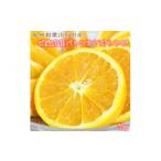 みかん 柑橘類 オレンジ ご 訳あり 希少な バレンシアオレ…
