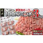ふるさと納税 豚肉 ハンバーグ 宮崎県 都城市 観音池ポーク100%ミンチ3kg(真空)_13-1504_ (都城市) 銘柄豚肉 豚ミンチ肉(500g×6パック) 合計3キロ 真空パッ…