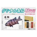 写真 CM-012 A2 デジタル魚拓 メモリアルフィッシュを釣れ…