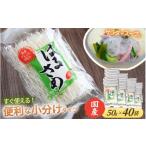 乾物 はるさめ 50g×40袋