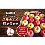ふるさと納税 りんご 青森県 青森市 令和7年11月中旬発送開始 青森りんご バラエティ詰め合わせ 約5kg(家庭用) 1118135