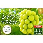 ふるさと納税 ぶどう マスカット 長野県 小布施町  訳あり シャインマスカット 約1.5kg 3〜5房 ［おぶせファーマーズ］家庭用 果物 フルーツ ぶどう 規格外 不…