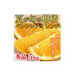 みかん 柑橘類 オレンジ 秀品 希少な バレンシアオレンジ 5…