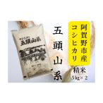 米 コシヒカリ 令和7年産 新潟産コシヒカリ 10kg