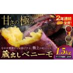 野菜類 サツマイモ さつまいも 芋 熊本 県 なかせ農園の