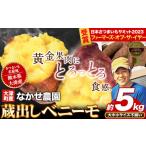 野菜類 サツマイモ さつまいも 芋 紅はるか