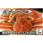 カニ ずわいガニ 南 せいこがに 5杯