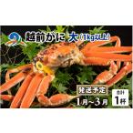 タコ 南 浜ゆで 真蛸 約1.0kg