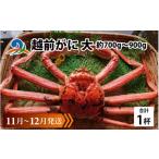 ふるさと納税 カニ 福井県 南越前町 先行予約 越前がに 大 (約700g〜900g)×1杯 11月〜12月発送