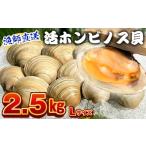 魚貝類 漁師直送 活ホンビノス貝2.5kg