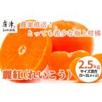 ふるさと納税 果物類 みかん 佐賀県 唐津市 『予約受付』 令和9年1月下旬発送 麗紅(れいこう) ハウス栽培 唐津産 2.5kg 混合サイズ みかん 蜜柑 柑橘 果物 フ…